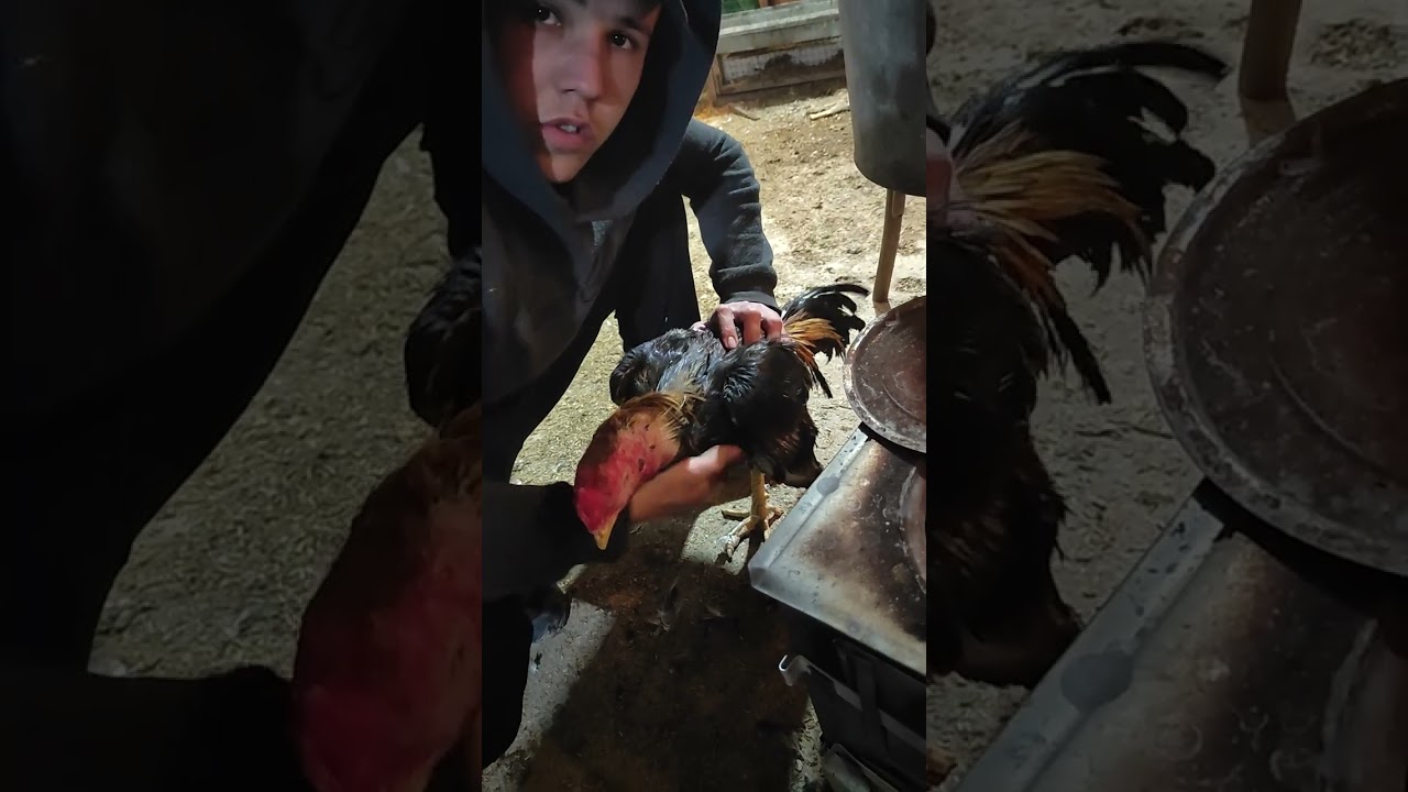 11 марта 2026 г.