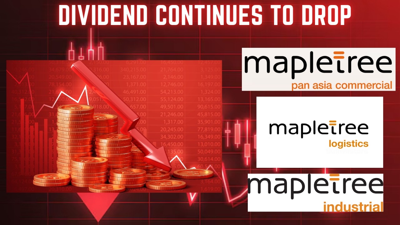 Mapletree Reits Q2 FY25 Earnings - Negative growth dividends of blue chip reits