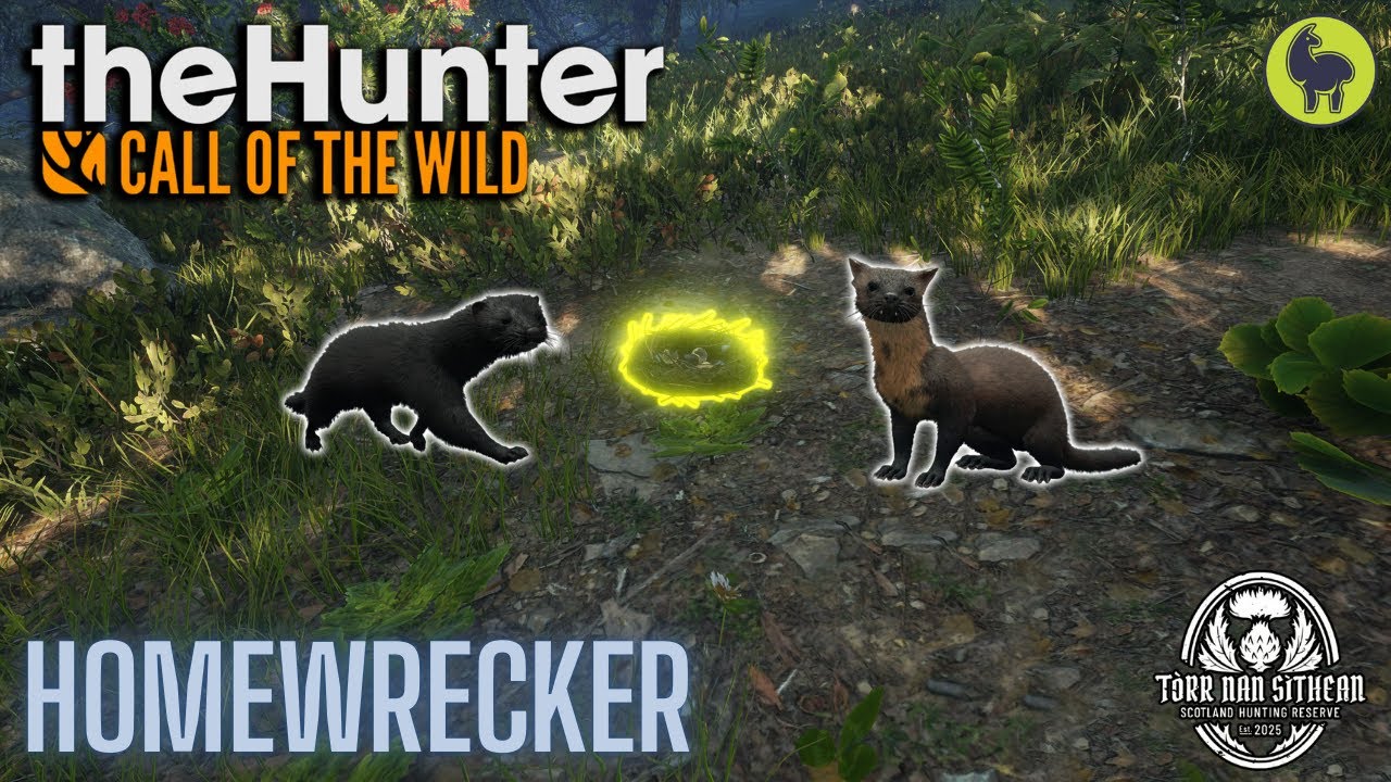 Homewrecker, Torr nan Sithean | theHunter: Call of the Wild