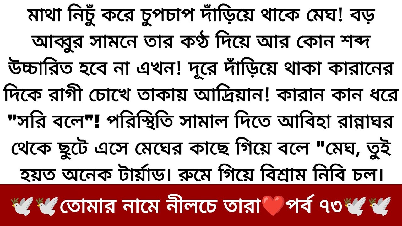 ডিভোর্স পেপার ফাইনাল | তোমার নামে নীলচে তারা❤️পর্ব ৭৩ | অসাধারণ একটি গল্প | Bangla romantic story