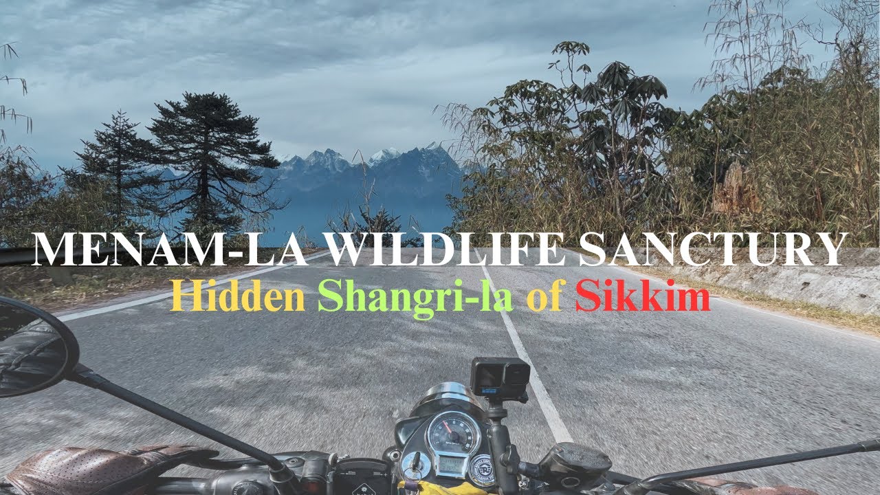 Royal enfield classic 350 into the wild/Menam-la wildlife sanctury, Sikkim..