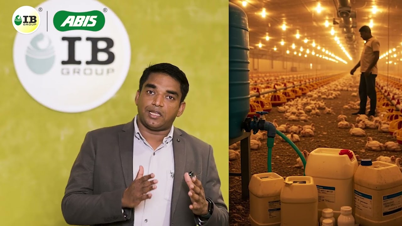 Why Water Management Is Critical for Poultry Farming—Dr. Mubarak Hussain?