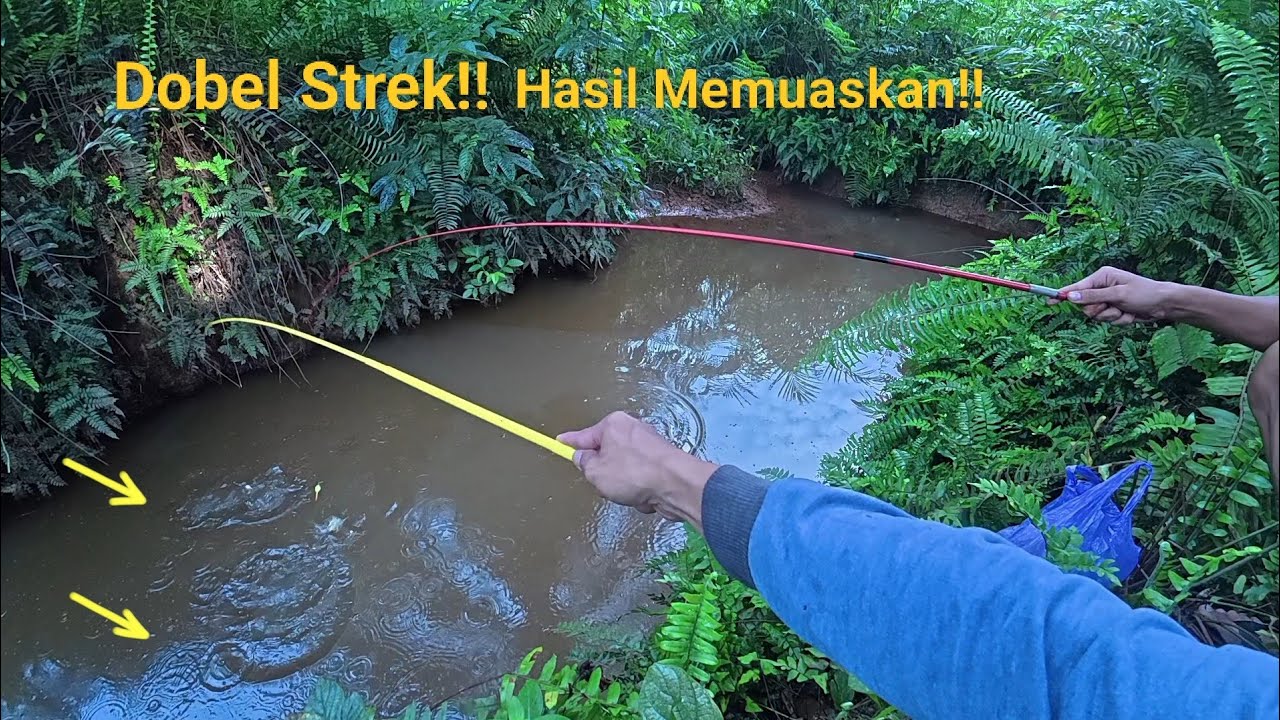 Siapapun pengen mancing disini kalau spotnya seperti kolam