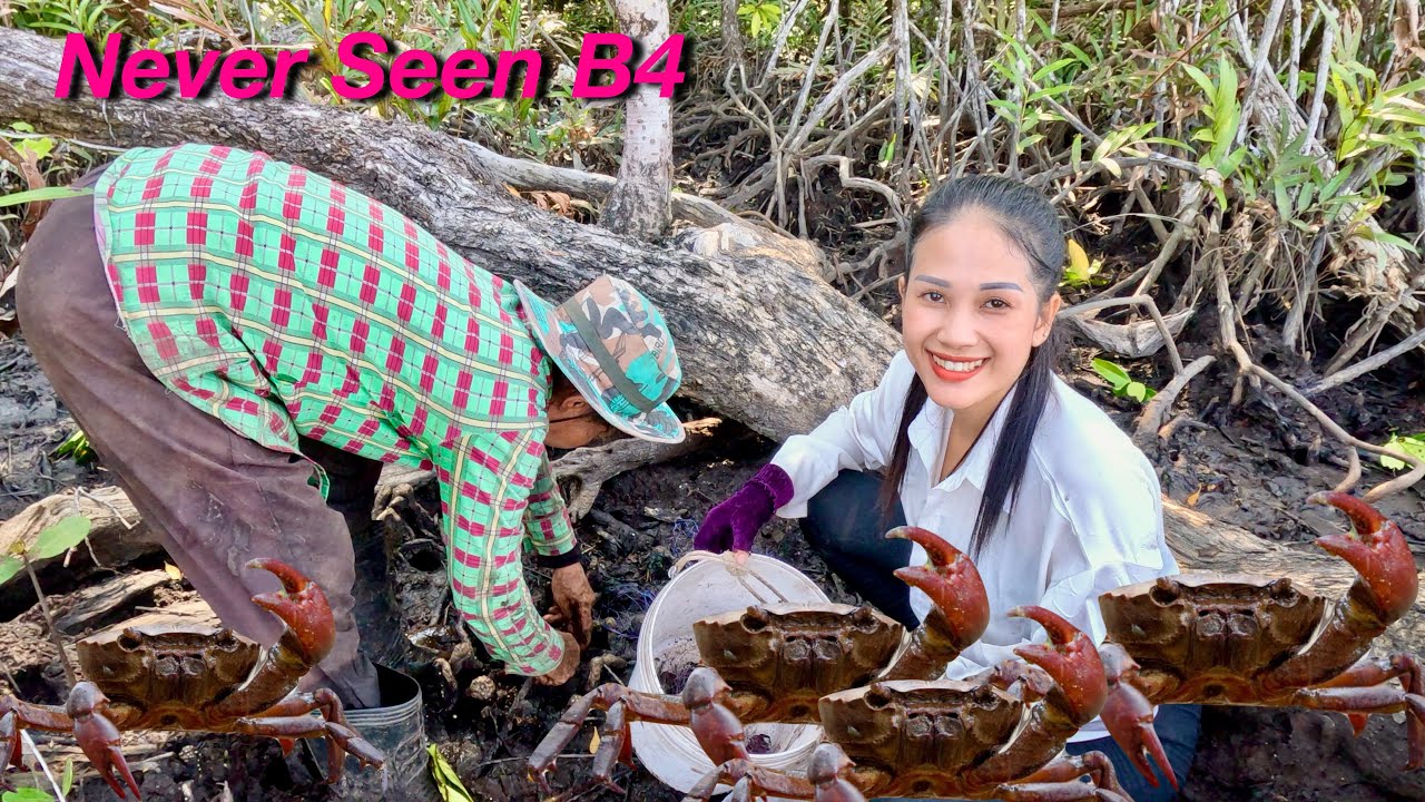 My First Time Seeing People Catch Crabs This Way in Mangrove Forest