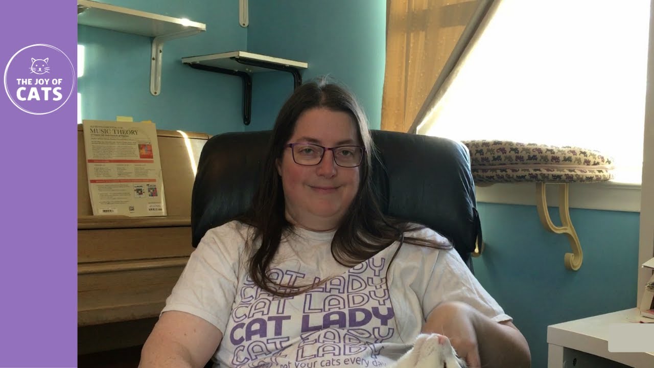 Stop Cat Rehome Shaming and Guilt