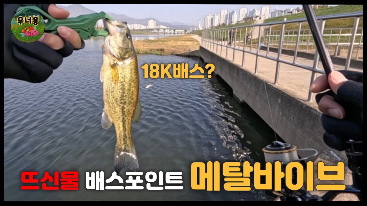 [배스낚시] 앵글러가 많이 찾는 겨울 배스포인트에서 메탈바이브로 배스 잡기!!