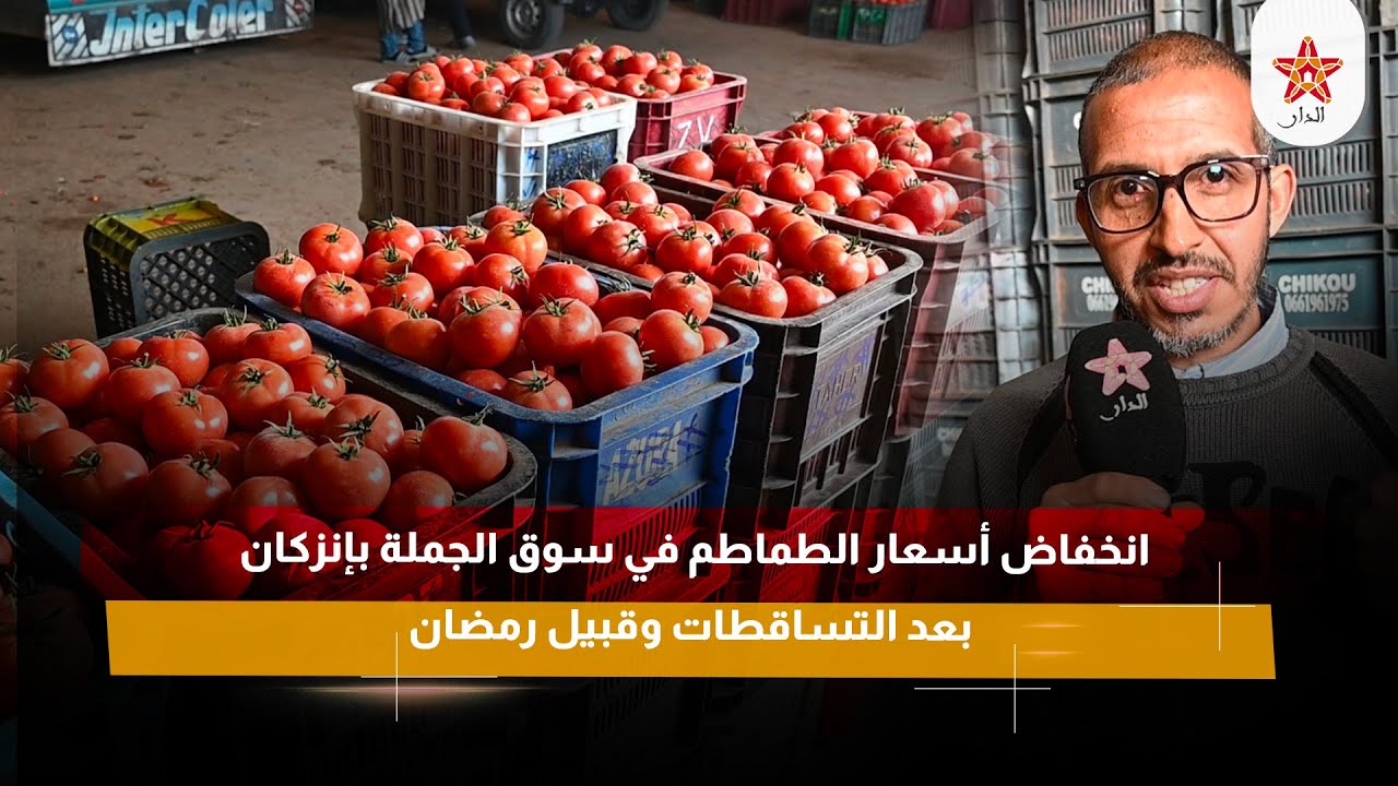 انخفاض أسعار الطماطم في سوق الجملة بإنزكان بعد التساقطات وقبيل رمضان