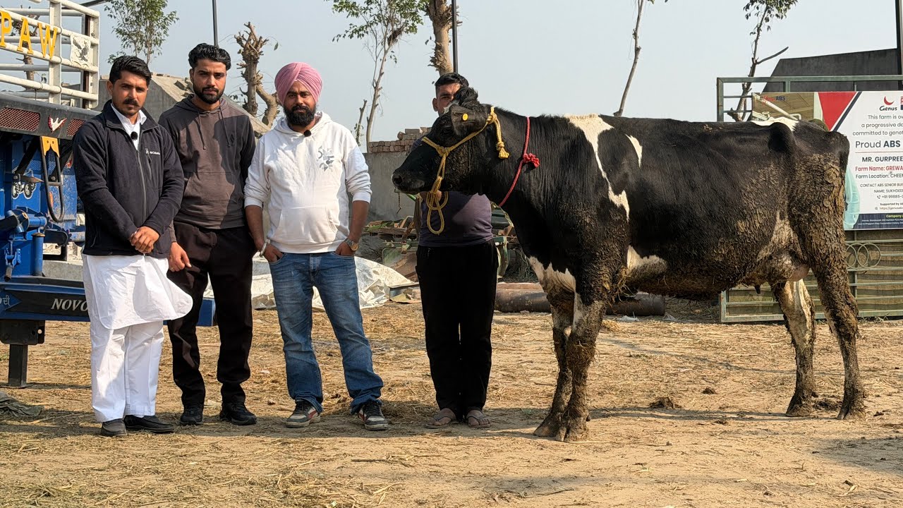 Biggest deal for PDFA || Gurwinder Dairy Farm  #pdfa2026