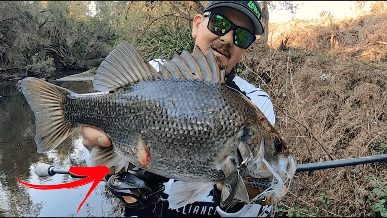 LOGAN RIVER BASS FISHING | First Full Moon Of Spring.