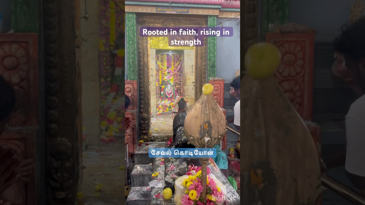 Rooted in faith, rising in strength#shorts#shortsfeed#trending#ytshorts#devotional#worship#family