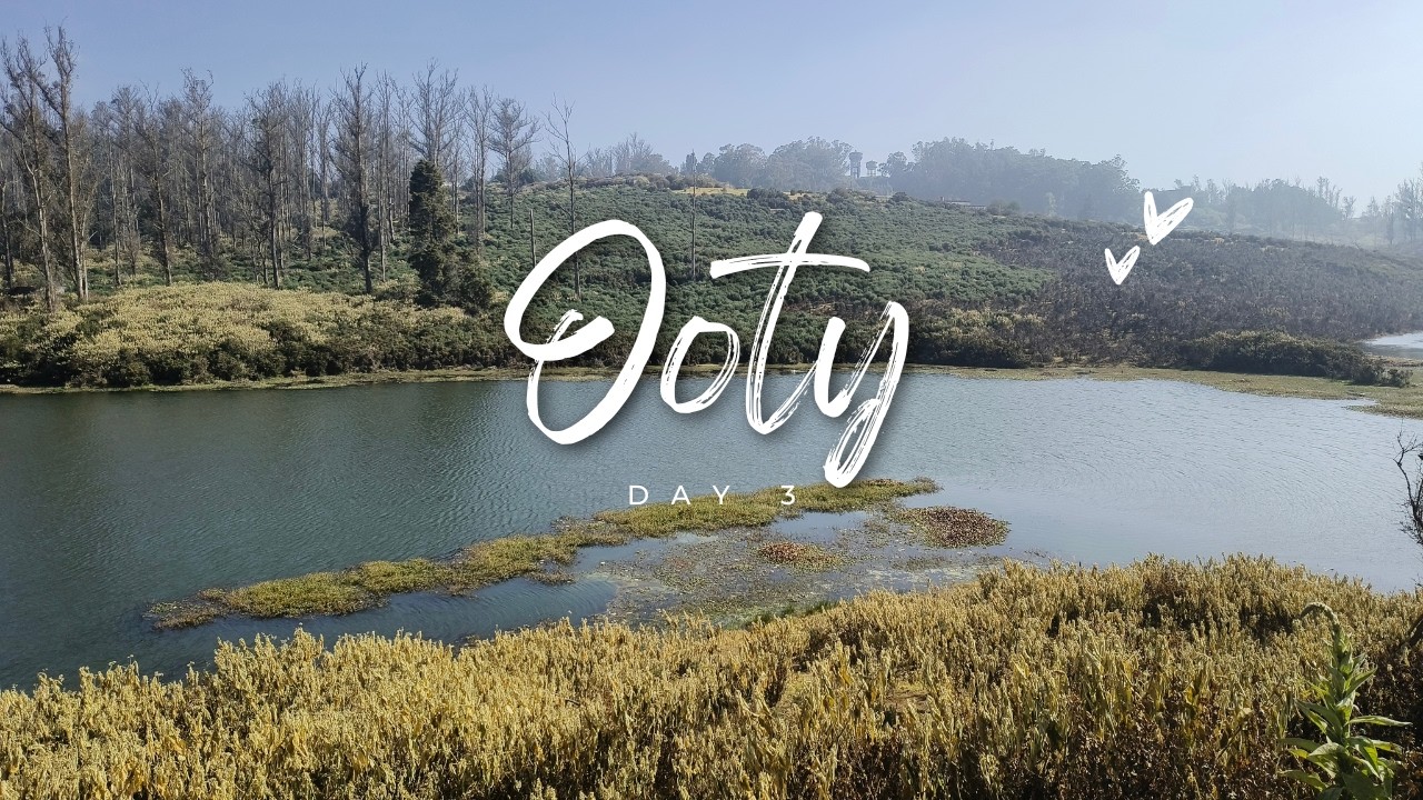 Ooty Day 3 - Doddabetta Peak and Shooting Spot 8th Mile