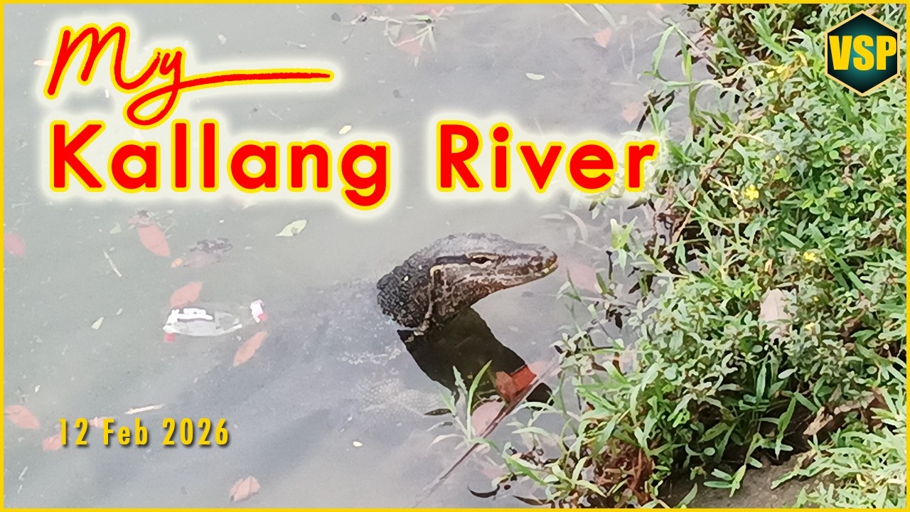 My Kallang River