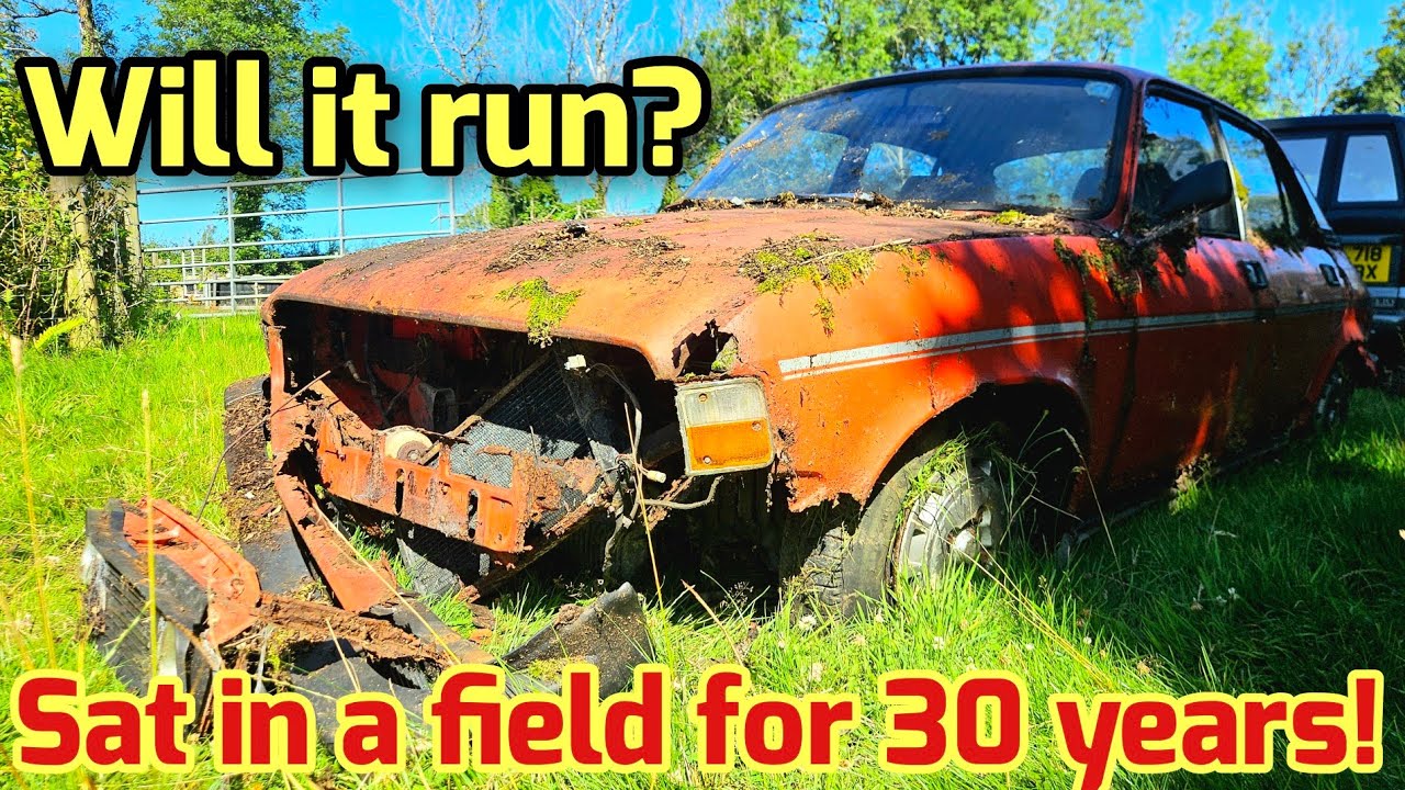 Will it run? I bought a Scrap Allegro that has sat in a field for 30 years!