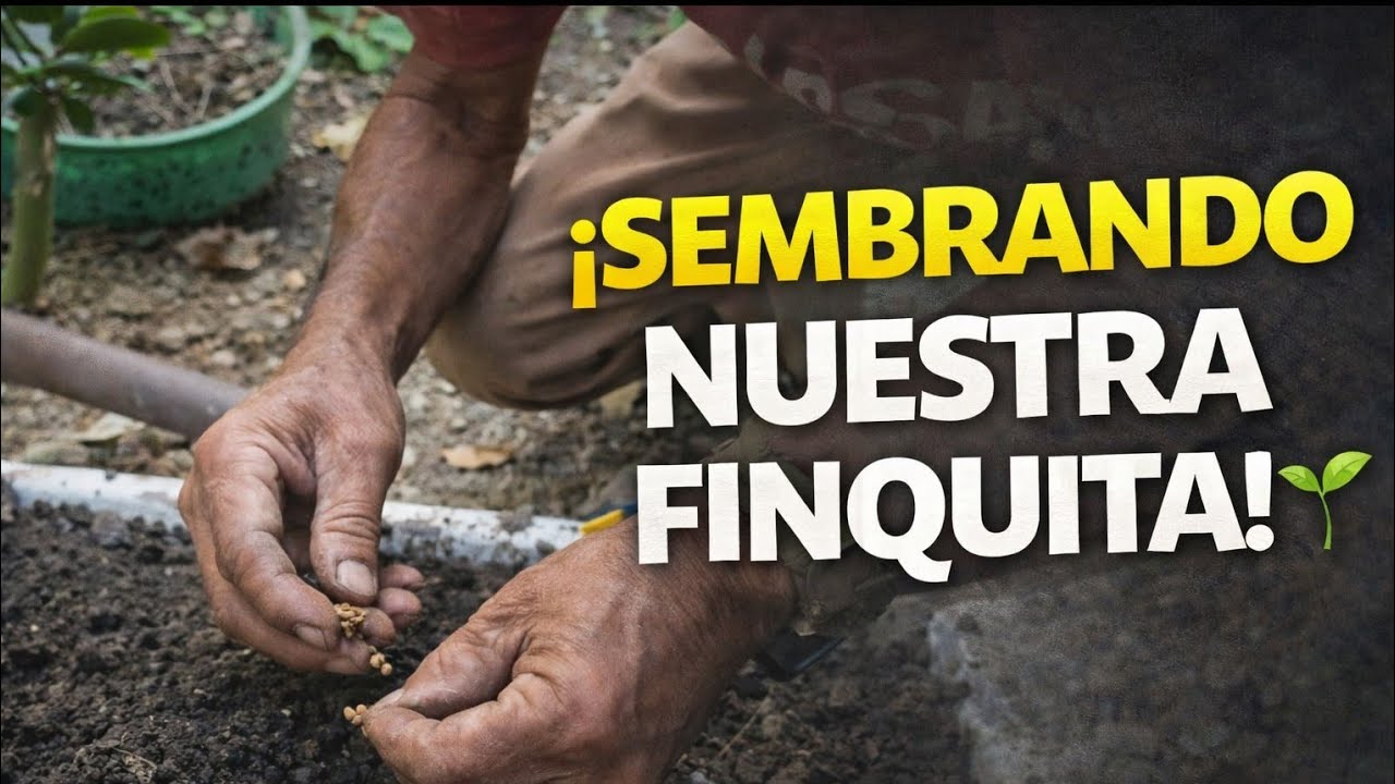 🌽🥕🥰Sembrando en nuestra finquita 