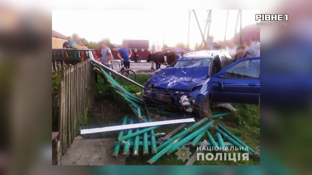 У селі Колодязне Березнівського району водій авто наїхав на шістьох корів