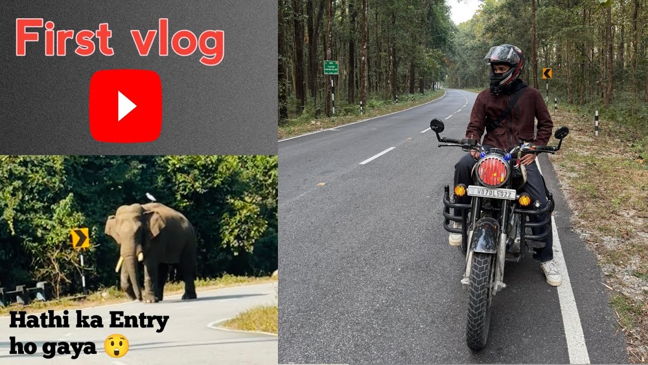 Bindu jatey samai hathi ka Entry ho gaya 😲(@BeyondMiles85)