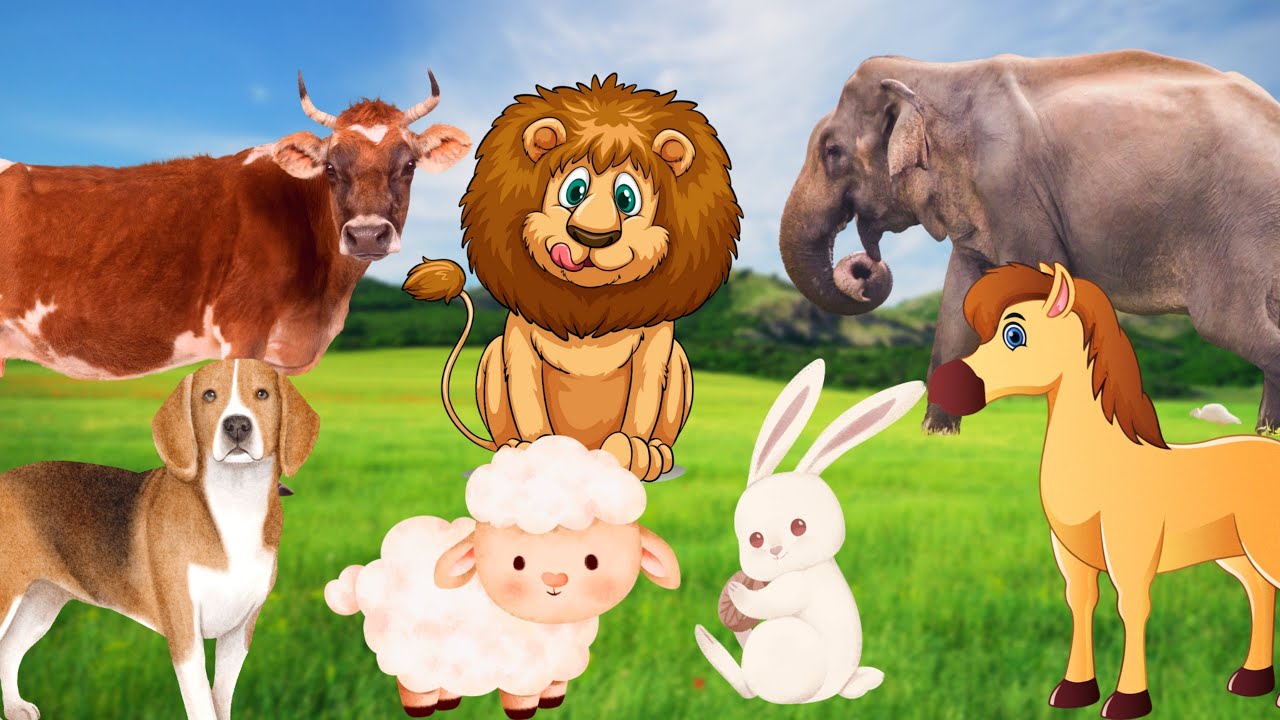 Funny animal sounds: Cow, elephant, horse, dog,...