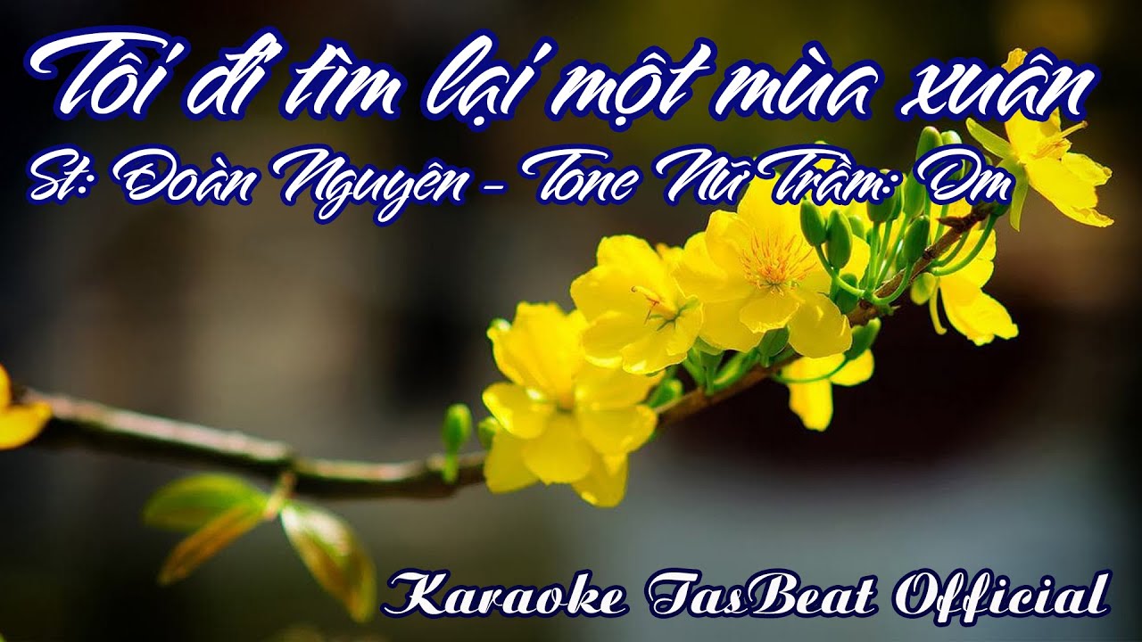 Karaoke Tôi Đi Tìm Lại Một Mùa Xuân Tone Nữ Trầm | TAS BEAT