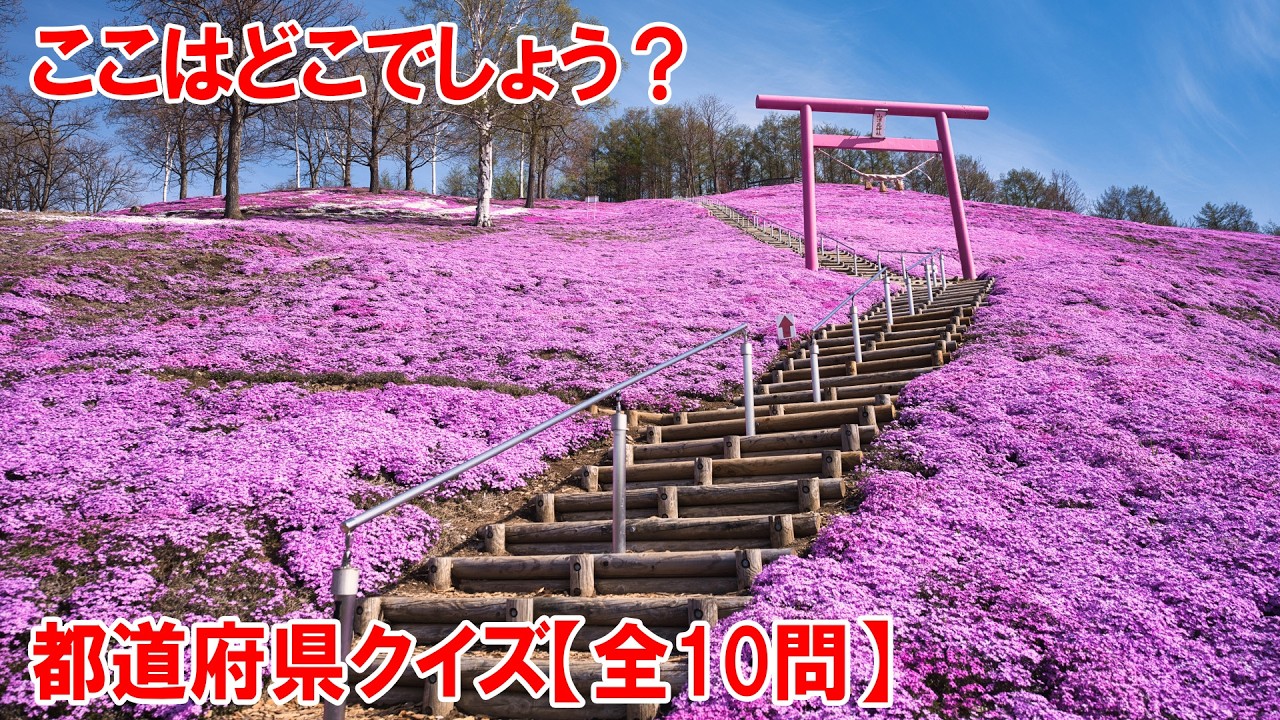【都道府県クイズ】ピンク色の鳥居…！？【珍】そして周りは見渡す限りのピンク色！ここは東京ドーム約2個分の丘陵地が、満開時には一面ピンク色のビロードの絨毯を敷き詰めたように染まります。【S氏作成】