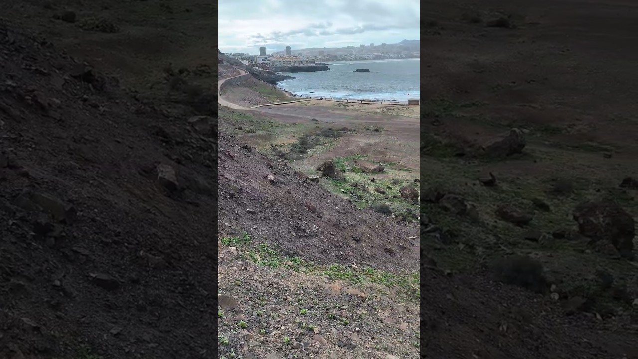 🌱 El Confital se viste de verde Un renacer verde volcánico 🌊​¡La magia de la lluvia en Gran Canaria