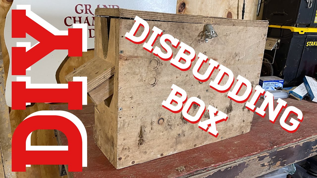 How To Make A Disbudding Box