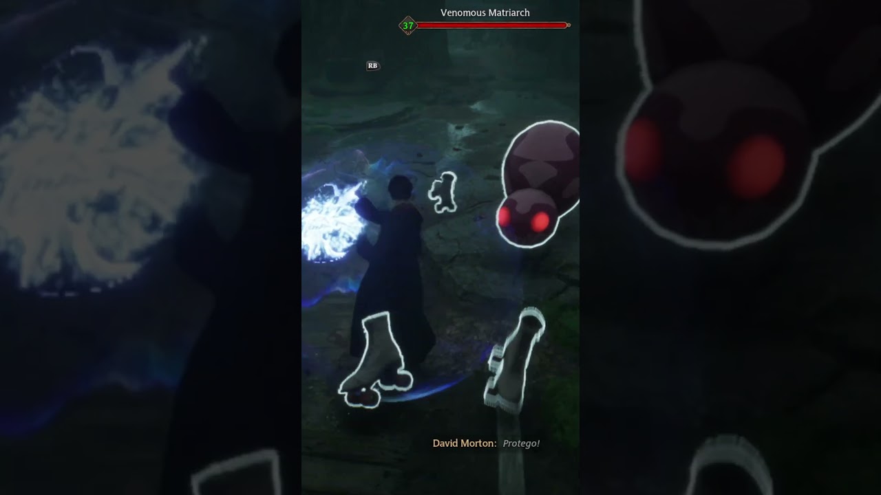 Hogwarts Legacy's New Arachnophobia Mode Is Terrifying - Gaming Highlight