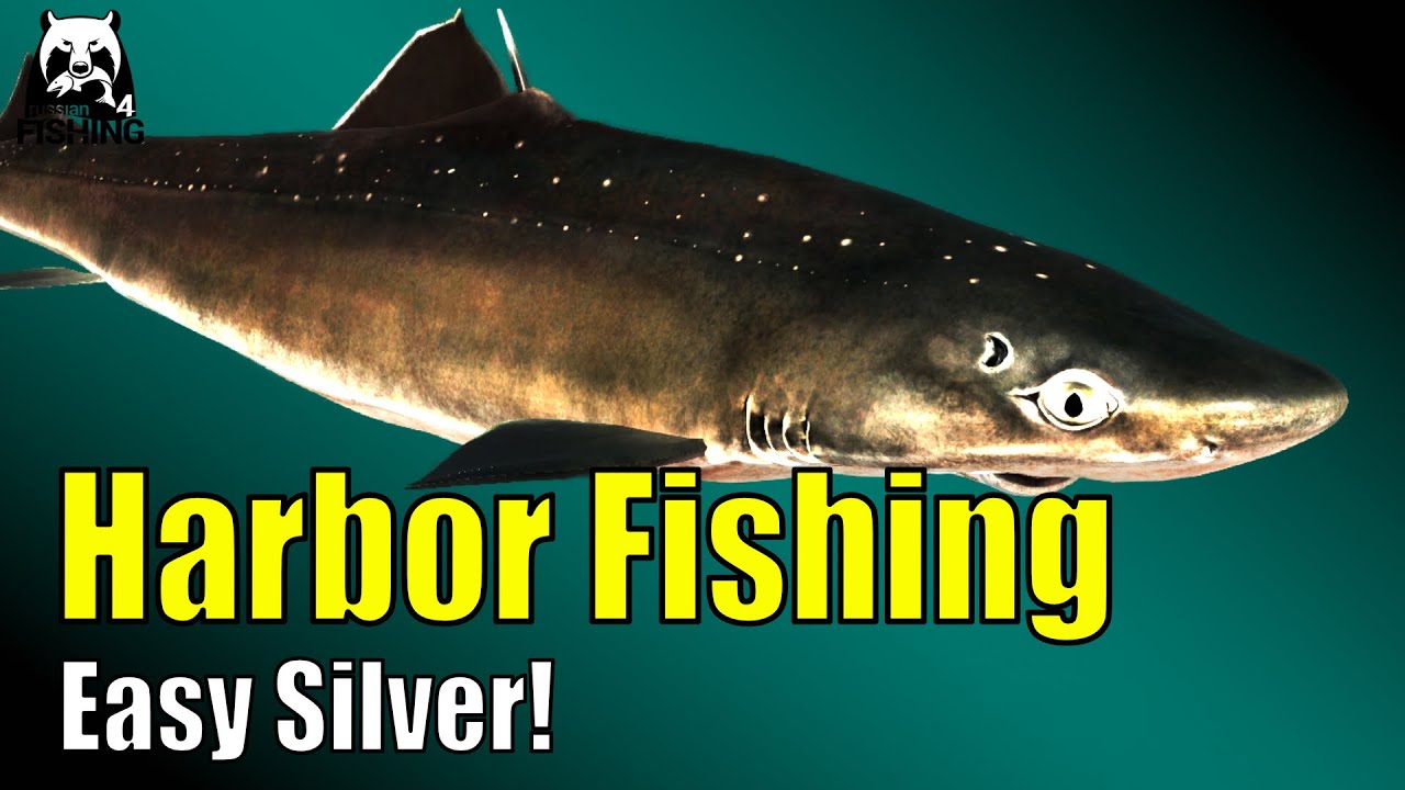 Russian Fishing 4 - Norwegian Sea - Silver in the Harbor! Spiny Dogfish, Turbot, Longhead Dab #rf4