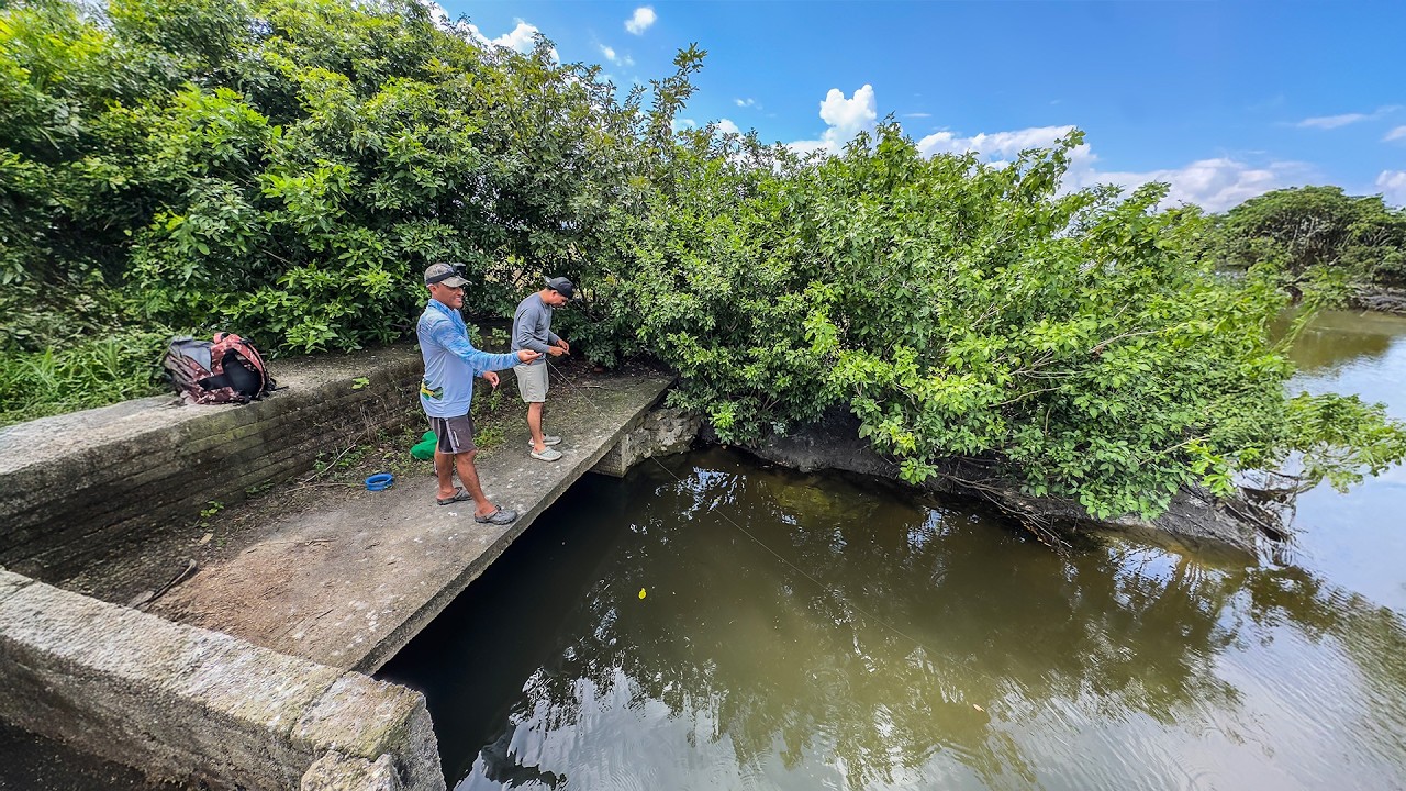Hermoso lugar de pesca encontramos el criadero de miles de peces