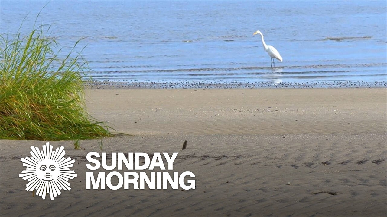 Nature: Cape May National Wildlife Refuge