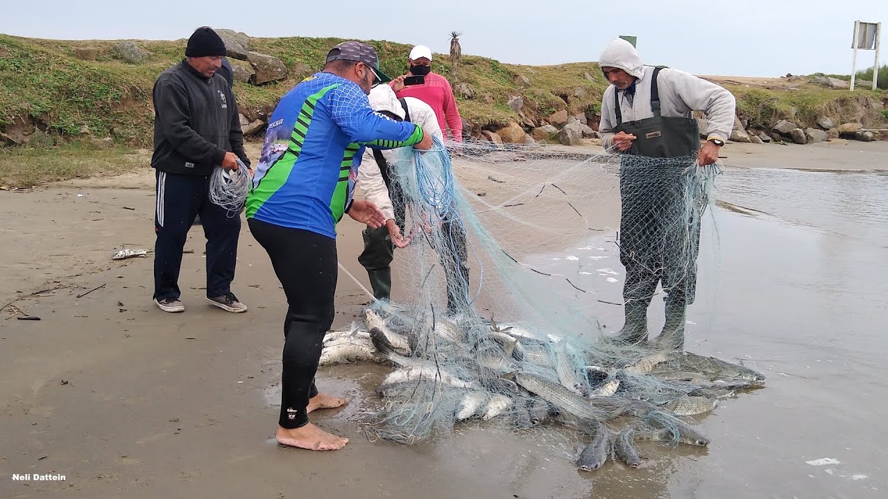 Laguna, SC, 21/05/21,Pesca de tarrafas, Molhes da Barra e vídeo pescador Adhan, cardume Praia do Gi.