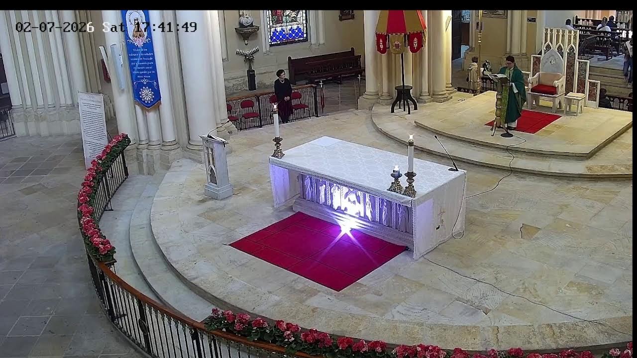 Transmisión Eucaristía Basílica de Lourdes   2026