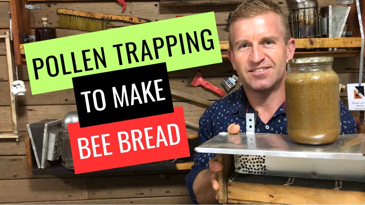 Pollen trapping to make bee bread superfood