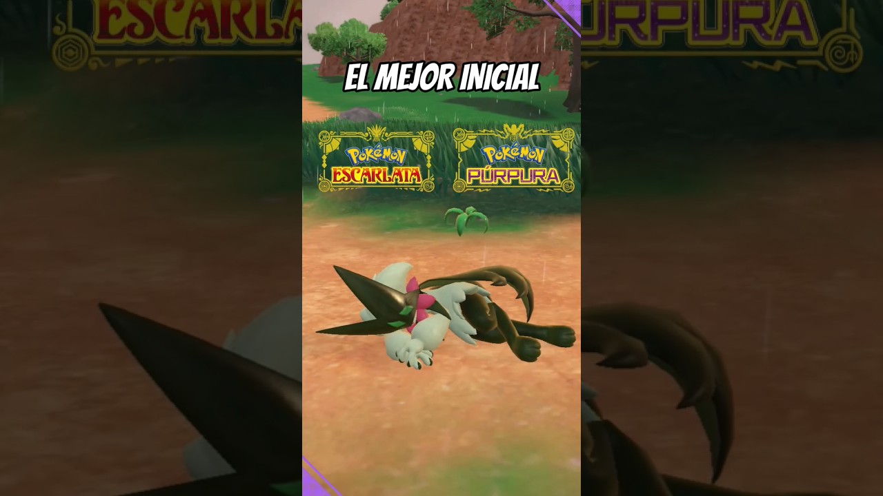 🌿&iexcl;EL MEJOR INICIAL DE ESCARLATA Y P&Uacute;RPURA!🌿