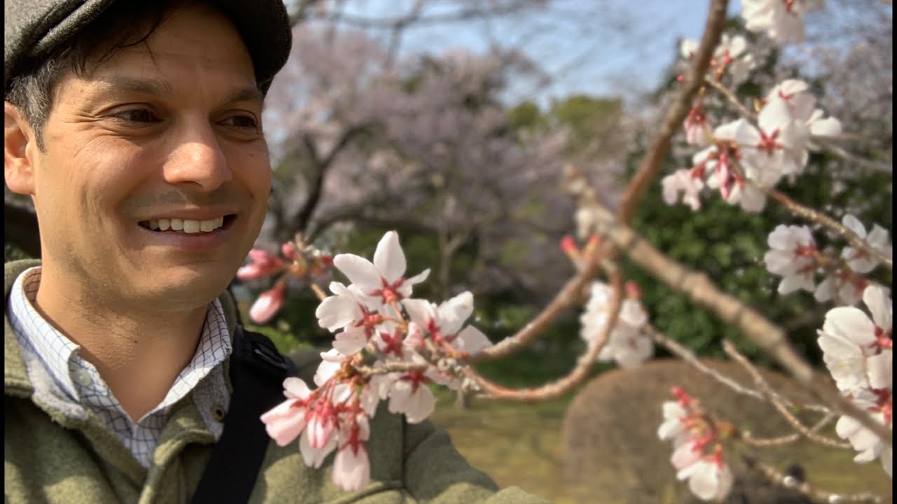 Tokyo&rsquo;s Imperial Garden Sakura View | Ninomaru Gardens