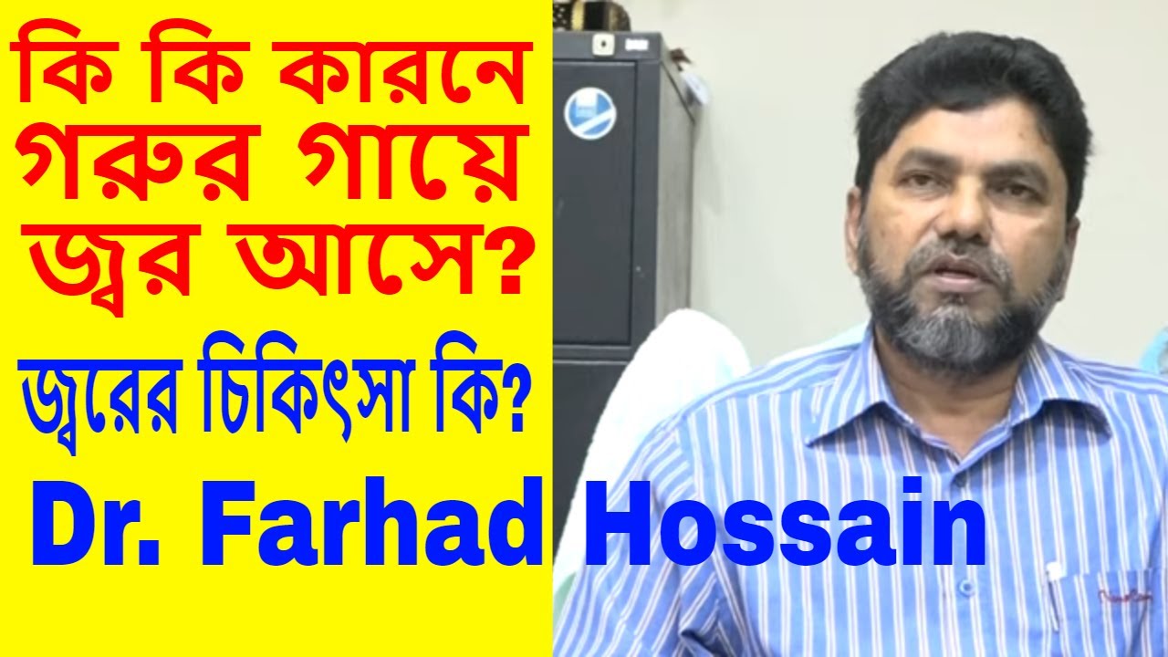 Video-1271, কি কি কারনে গরুর গায়ে জ্বর আসে | তার চিকিৎসা কি | Bayezid morol | Why is the cow fever