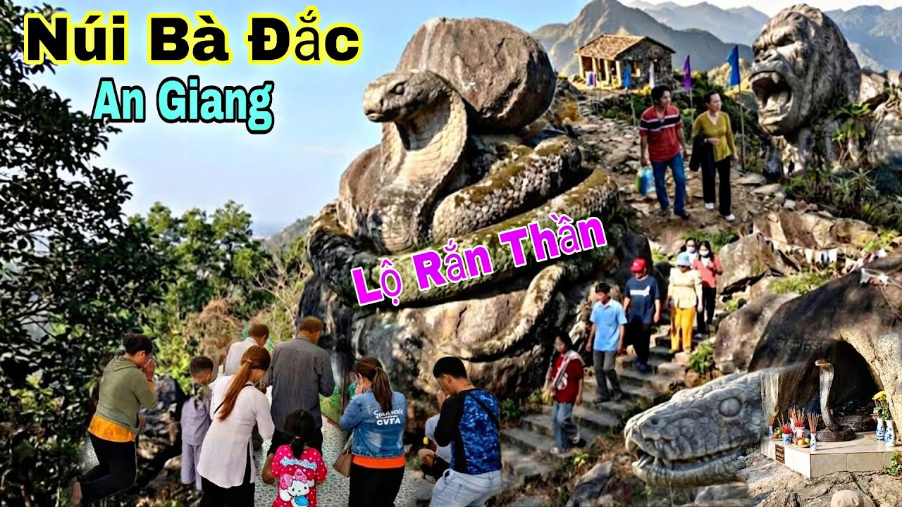 Chấn Động xuất hiện rắn hổ mây núi bà đắc.hóa đá.cây mặt quỷ thành tinh ùn ùn bà con lên núi xem!