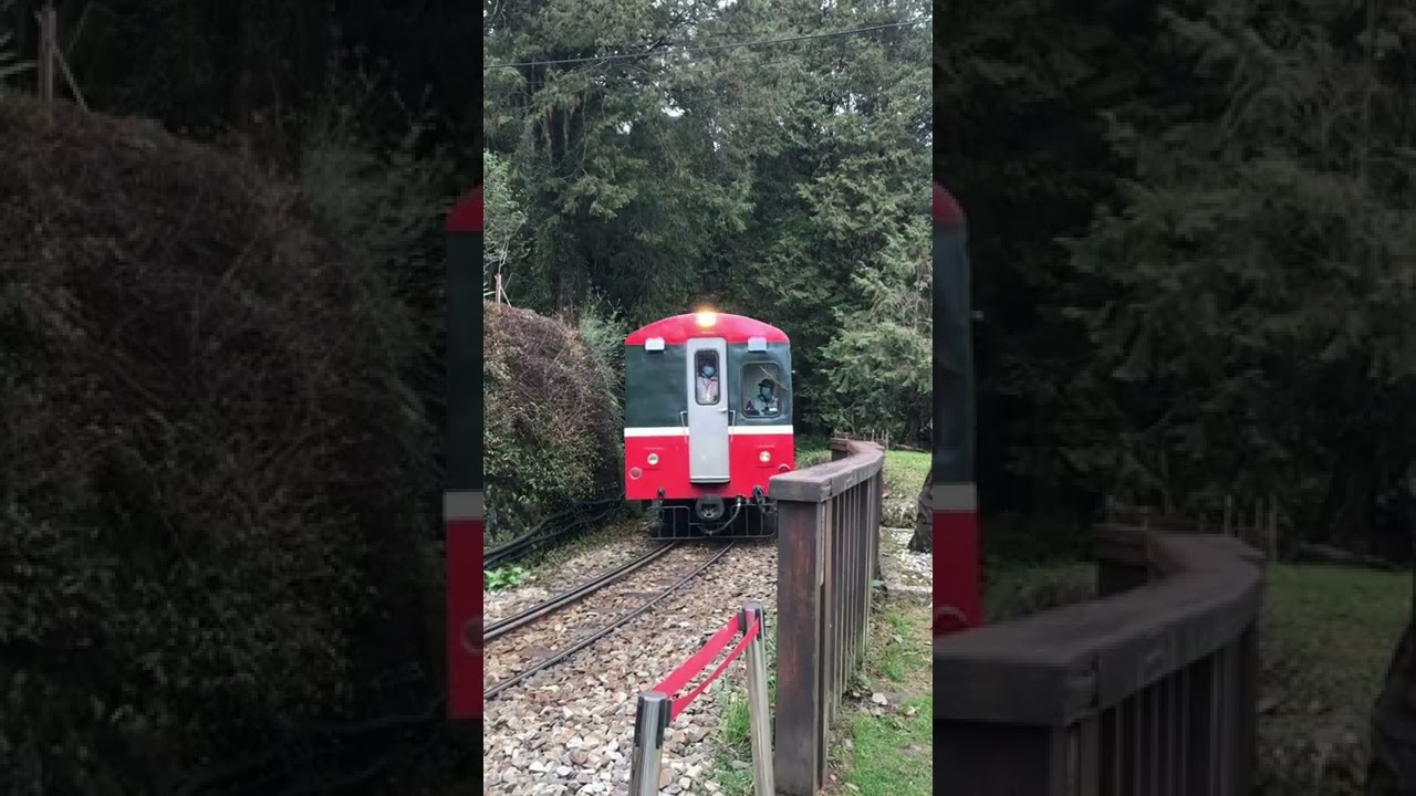 Alishan express train Jan, 2022 - 阿里山小火車