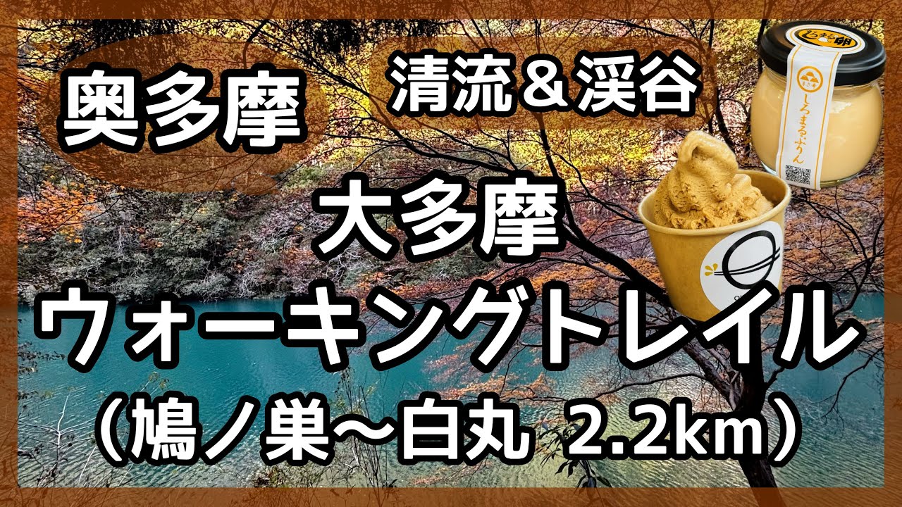 【奥多摩】大多摩ウォーキングトレイルをあるく（鳩ノ巣〜白丸）