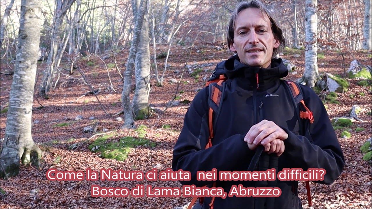 ❤ Come la Natura ci aiuta nei momenti difficili?  Bosco Lama Bianca,  S. Eufemia a Majella, Abruzzo