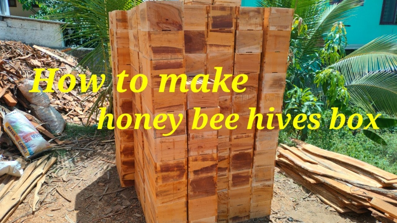 How to make honey bee hives box