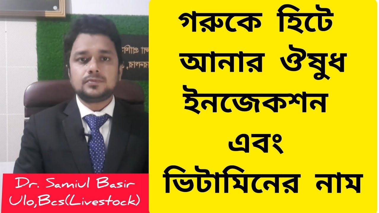 গরুকে হিটে আনার উপায়। গরুকে ডাকে আনার উপায়। গরুকে হিটে আনার ঔষধ। গরুকে হিটে আনার ইনজেকশন।
