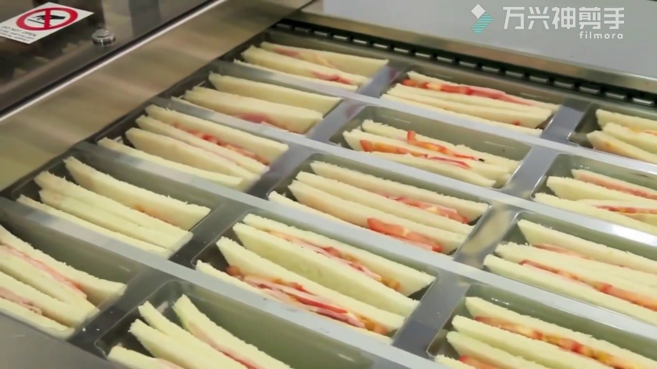 automatic vacuum thermoforming packing machine, rollstock machine for sandwich