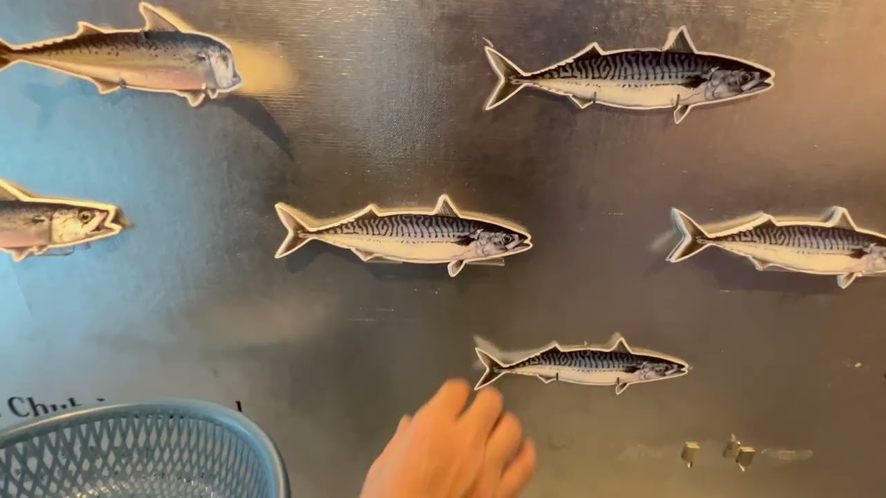 大鯖魚夢工廠