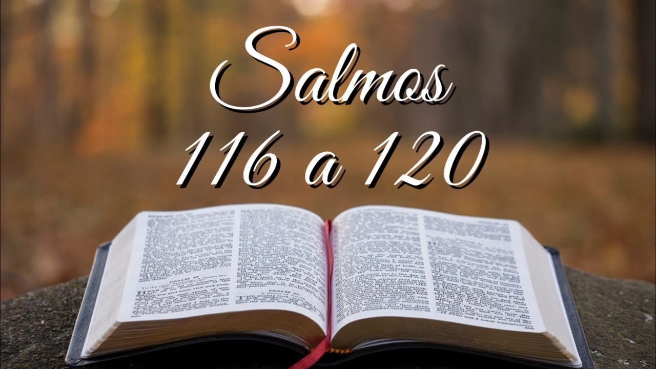 BÍBLIA SALMOS 116 A 120