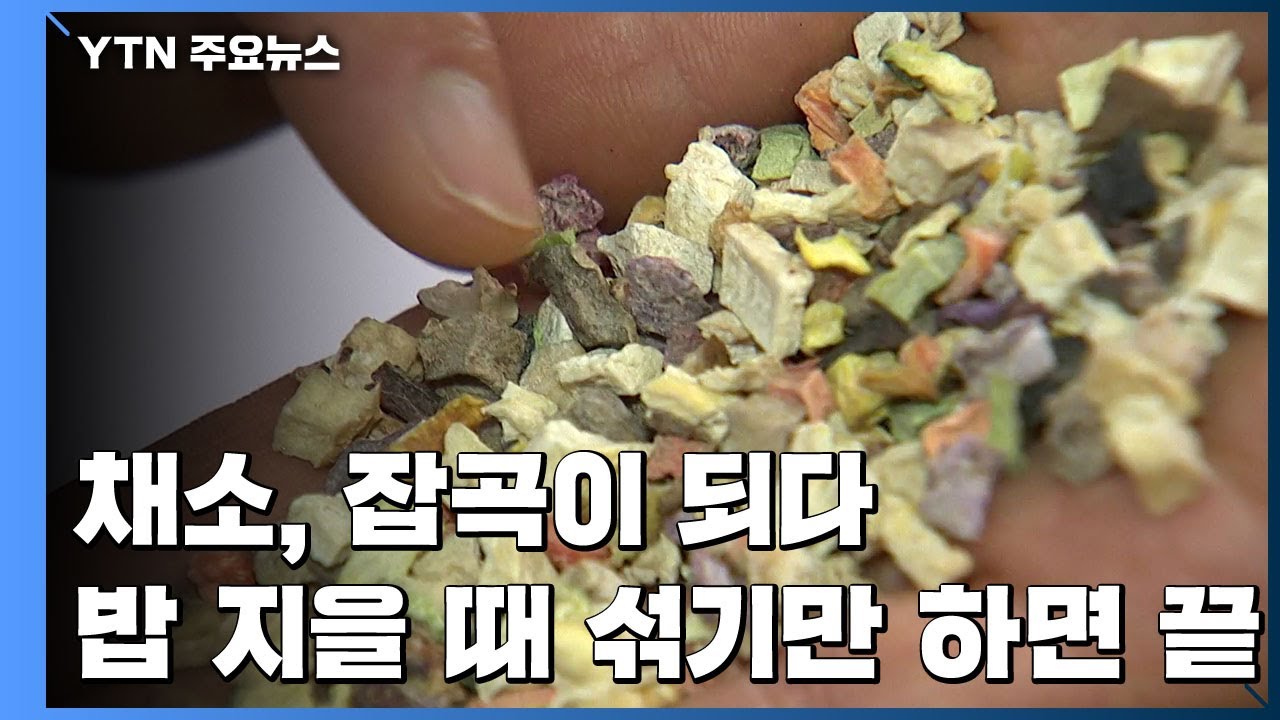 [新농비] 채소, 잡곡이 되다...밥 지을 때 섞기만 하면 끝! / YTN