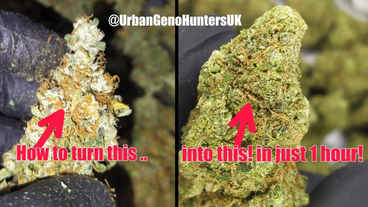 #PGR #weed #buds? Is your bud the best?.. or just beaten! UK weed #cannabis