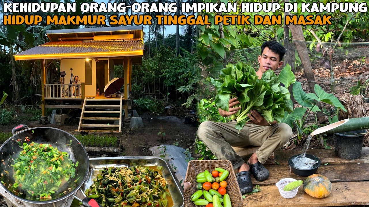 INILAH KEHIDUPAN ORANG ORANG INGINKAN HIDUP DI KAMPUNG, HIDUP MAKMUR SAYUR TINGGAL PETIK & MASAK