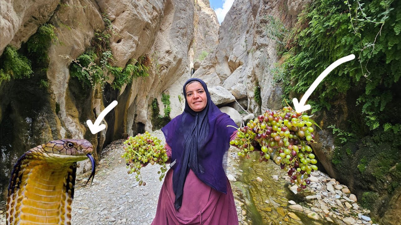 🏔️🔥Kulthum's dangerous adventure in the mountains:From the grape tree to encountering wild snakes🐍🍇