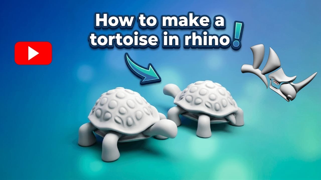 How to Model a 3D Tortoise in Rhino – Beginner Rhino Tutorial