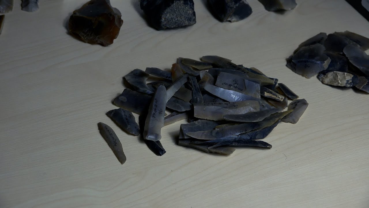 Archeologielezing Dion Stoop en Pir Hoebe: Pioniers na de IJstijd
